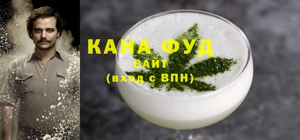 ECSTASY Ельня