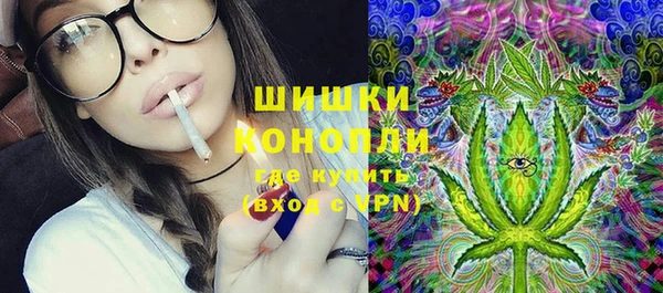 ECSTASY Ельня