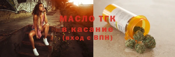 молекула духа Елабуга