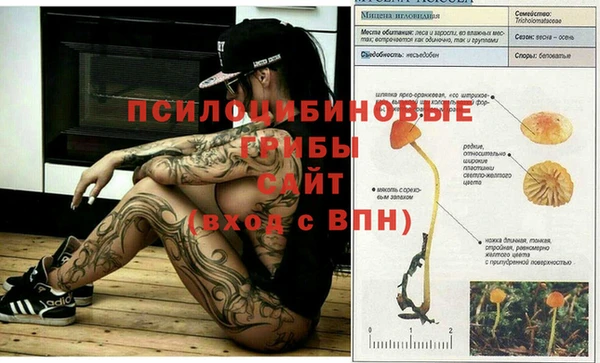 круглые Сосновый Бор