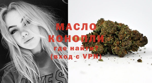 ECSTASY Ельня
