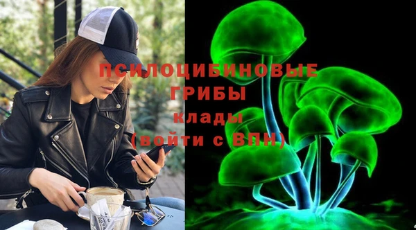индика Дмитровск