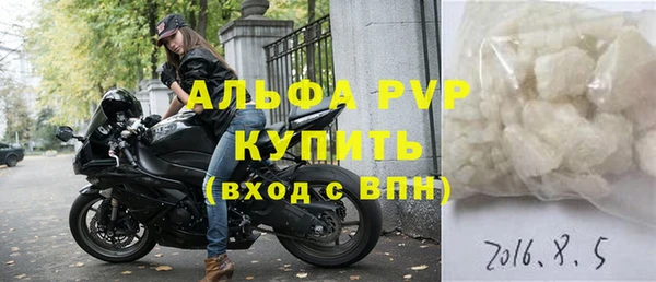 индика Дмитровск