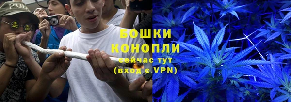 индика Дмитровск