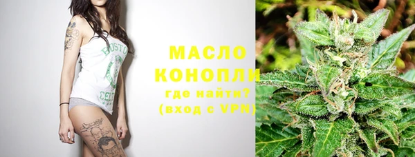 молекула духа Елабуга