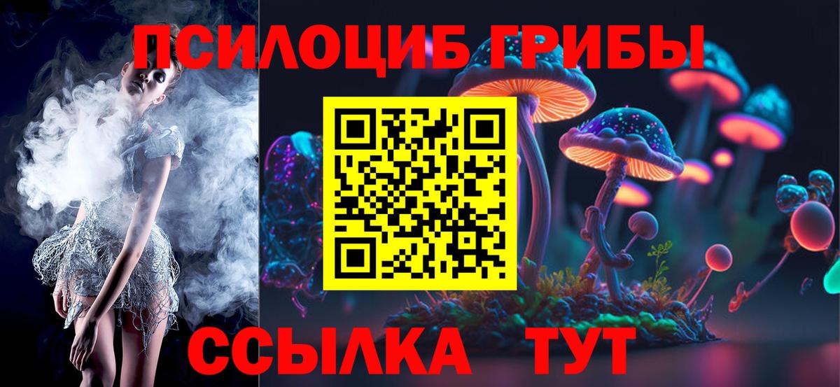 купить наркотики цена  Псилоцибиновые грибы мухоморы  Вход с VPN  Галлюциногенные грибы MAGIC MUSHROOMS  Энгельс 